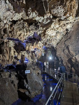 飛騨大鍾乳洞＆大橋コレクション館に投稿された画像（2024/5/3）