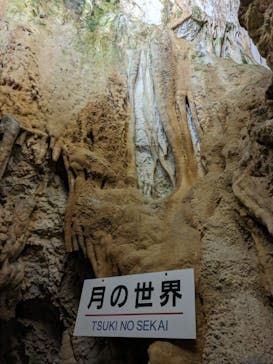 飛騨大鍾乳洞＆大橋コレクション館に投稿された画像（2024/5/3）