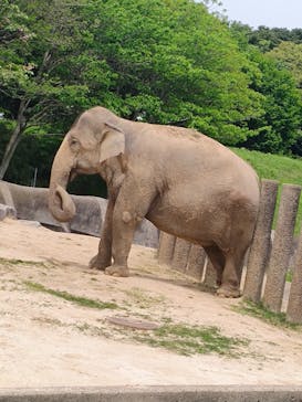 千葉市動物公園に投稿された画像（2024/5/3）