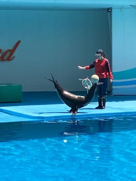 南知多ビーチランド＆南知多おもちゃ王国に投稿された画像（2024/5/3）