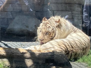 東武動物公園に投稿された画像（2024/5/3）