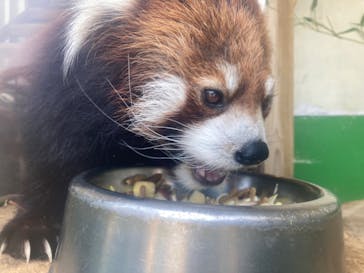 東武動物公園に投稿された画像（2024/5/3）