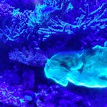 竹島水族館に投稿された画像（2024/5/3）