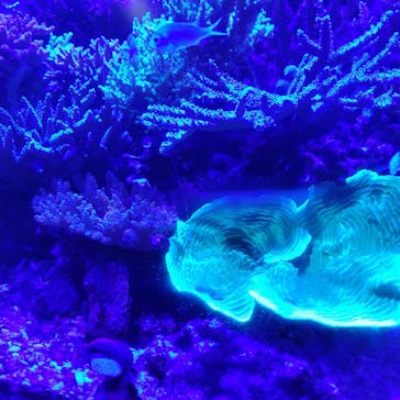 竹島水族館に投稿された画像（2024/5/3）