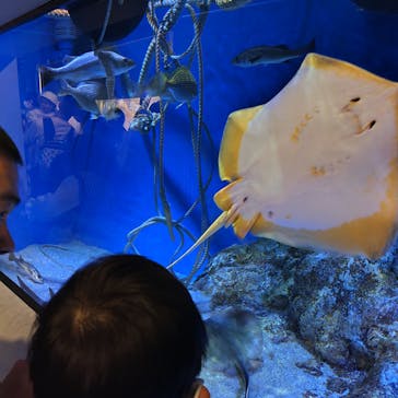 竹島水族館に投稿された画像（2024/5/3）