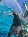 サンシャイン水族館に投稿された画像（2024/5/3）