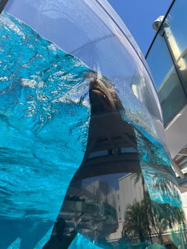 サンシャイン水族館に投稿された画像（2024/5/3）