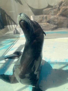 サンシャイン水族館に投稿された画像（2024/5/3）