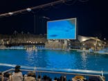 名古屋港水族館に投稿された画像（2024/5/3）