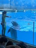 新江ノ島水族館に投稿された画像（2024/5/3）