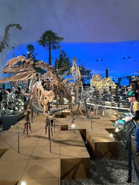 福井県立恐竜博物館に投稿された画像（2024/5/3）