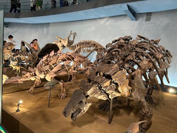 福井県立恐竜博物館に投稿された画像（2024/5/3）