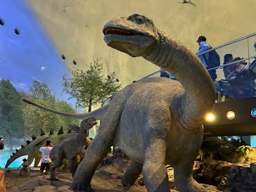 福井県立恐竜博物館に投稿された画像（2024/5/3）