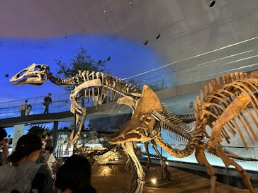 福井県立恐竜博物館に投稿された画像（2024/5/3）
