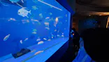 仙台うみの杜水族館に投稿された画像（2024/5/3）