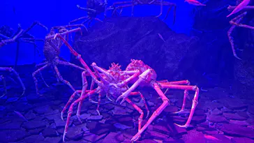 仙台うみの杜水族館に投稿された画像（2024/5/3）