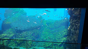 仙台うみの杜水族館に投稿された画像（2024/5/3）