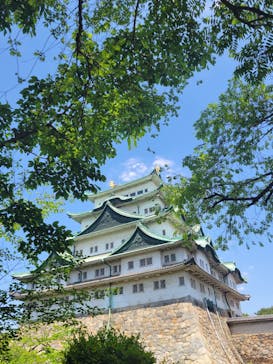 名古屋城に投稿された画像（2024/5/3）