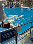 マクセル アクアパーク品川に投稿された画像（2024/5/3）