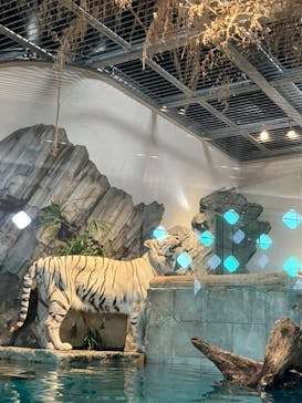 NIFREL（ニフレル）に投稿された画像（2024/5/3）