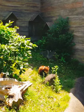 ひらかたパークに投稿された画像（2024/5/3）