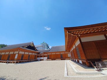 名古屋城に投稿された画像（2024/5/3）