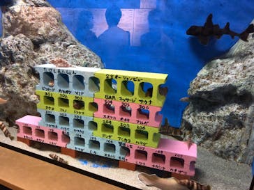 竹島水族館に投稿された画像（2024/5/3）