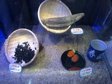 竹島水族館に投稿された画像（2024/5/3）