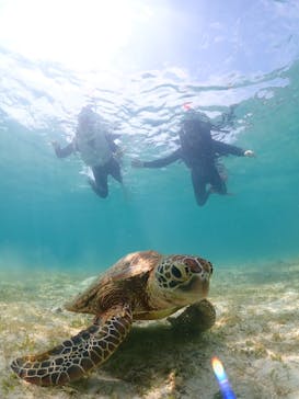 宮古島マリン GB QUESTに投稿された画像（2024/5/3）