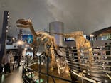 福井県立恐竜博物館に投稿された画像（2024/5/3）