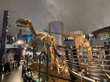 福井県立恐竜博物館に投稿された画像（2024/5/3）