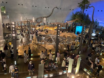福井県立恐竜博物館に投稿された画像（2024/5/3）