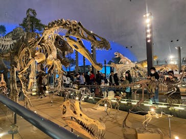福井県立恐竜博物館に投稿された画像（2024/5/3）