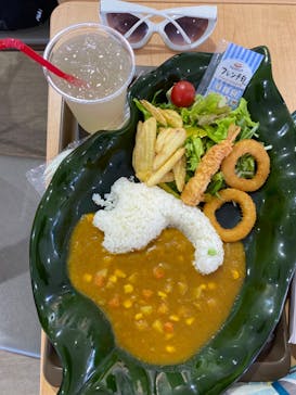 福井県立恐竜博物館に投稿された画像（2024/5/3）