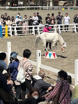 ノーザンホースパークに投稿された画像（2024/5/3）