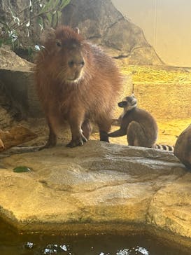 NIFREL（ニフレル）に投稿された画像（2024/5/3）