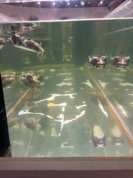 NIFREL（ニフレル）に投稿された画像（2024/5/3）