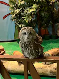 ひらかたパークに投稿された画像（2024/5/3）