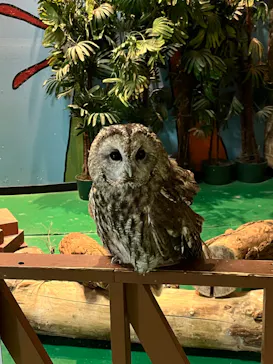 ひらかたパークに投稿された画像（2024/5/3）