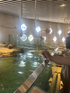 NIFREL（ニフレル）に投稿された画像（2024/5/3）