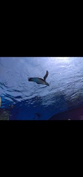 サンシャイン水族館に投稿された画像（2024/5/3）