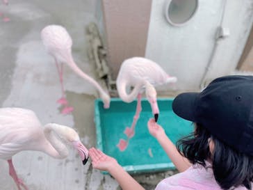 阿蘇ファームランドに投稿された画像（2024/5/3）