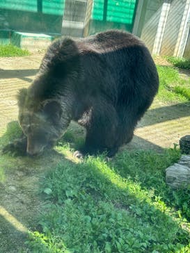 東武動物公園に投稿された画像（2024/5/3）