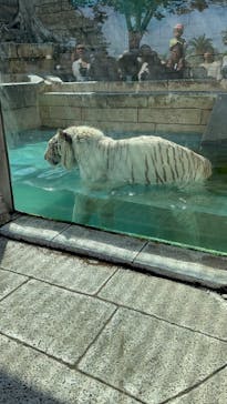 東武動物公園に投稿された画像（2024/5/3）