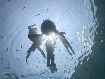 武藤潜水に投稿された画像（2024/5/3）