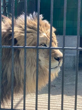 東北サファリパークに投稿された画像（2024/5/3）