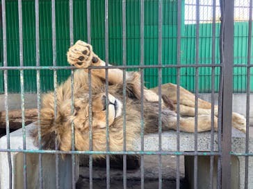 東北サファリパークに投稿された画像（2024/5/3）