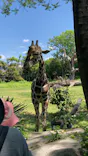 天王寺動物園に投稿された画像（2024/5/3）