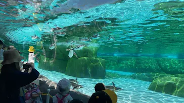 天王寺動物園に投稿された画像（2024/5/3）