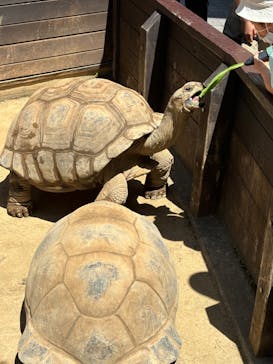 世界淡水魚園水族館　アクア・トトぎふに投稿された画像（2024/5/3）